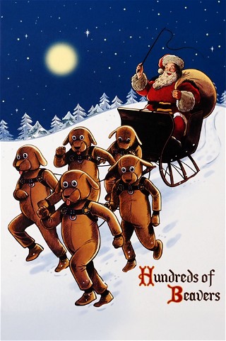 Hundreds of Beavers