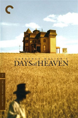 Days of Heaven