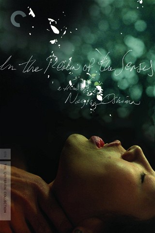 In the Realm of the Senses